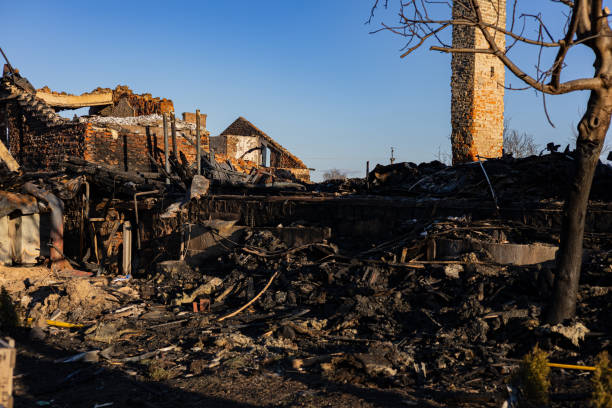 Reliable Board Up Services contractor in Venice, FL by Meridian Smoke Damage